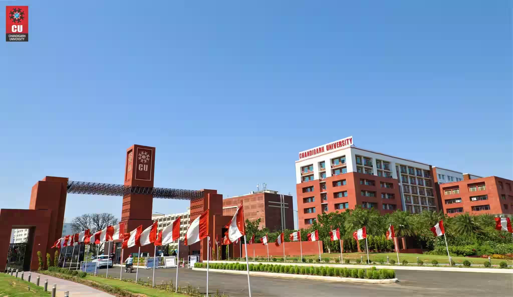 Chandigarh University Online